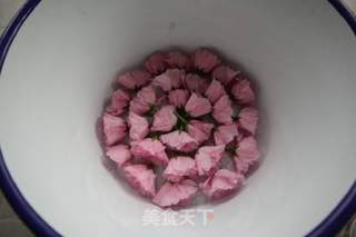 盐渍樱花的做法步骤:5
