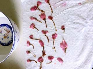 #第四届烘焙大赛暨是爱吃节#樱花法式马卡龙的做法步骤:9