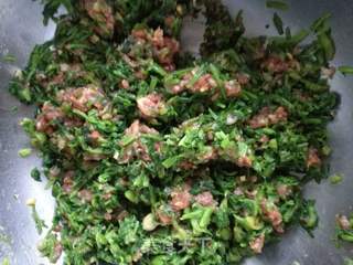 野芹菜猪肉蒸饺的做法步骤:8