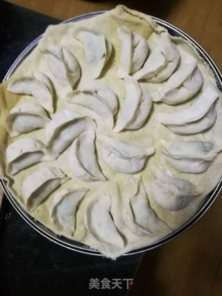 野芹菜猪肉蒸饺的做法步骤:9