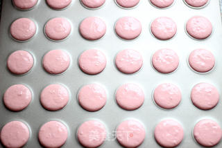 #第四届烘焙大赛暨是爱吃节#粉系蜗牛马卡龙的做法步骤:6