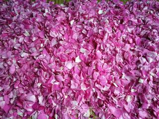 #第四届烘焙大赛暨是爱吃节#玫瑰花面包的做法步骤：1
