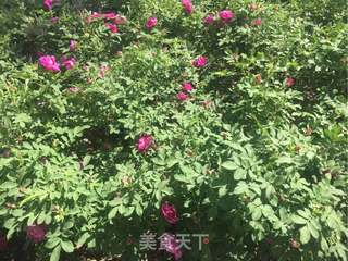 #ACA第四届烘焙大赛暨是爱吃节#玫瑰酱的做法步骤：1