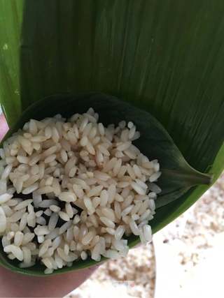 红豆蜜枣粽子的做法步骤:12