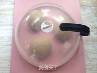 #第四届烘焙大赛暨是爱吃节#全麦无油吐司的做法步骤:7