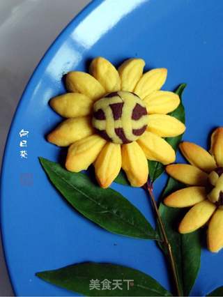 #第四届烘焙大赛暨是爱吃节#向日葵饼干的做法步骤:16