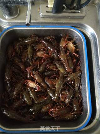 麻辣小龙虾的做法步骤:2