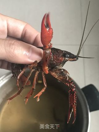 麻辣小龙虾的做法步骤:2
