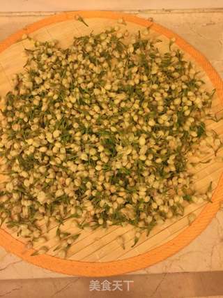 茉莉花蜜的做法步骤:2