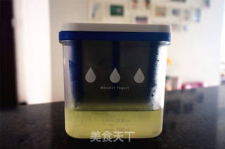 希腊酸奶,高蛋白低热量的健康甜品的做法步骤:7