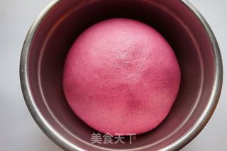 #ACA第四届烘焙大赛#造色情怀 火龙果花朵排包的做法步骤：8