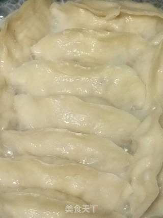 西葫木耳豆腐锅贴的做法步骤:10