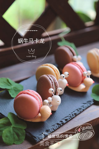 #ACA第四届烘焙大赛#造色情怀 蜗牛马卡龙的做法步骤:17