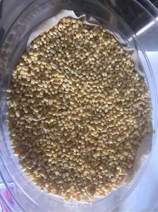 绿豆凉糕紫薯馅的做法步骤:2