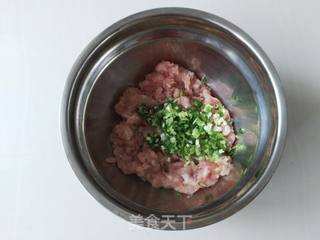 猪肉香葱肉卷的做法步骤:2