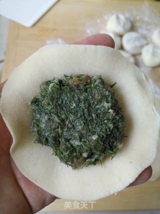 茴香肉包的做法步骤:7