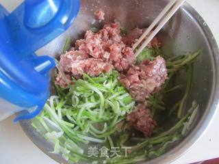 瓠子肉馅生煎包的做法步骤:7