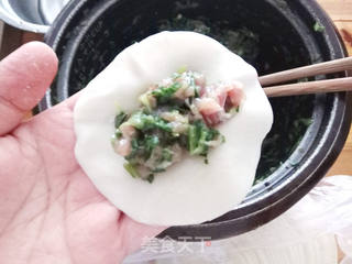 青菜猪肉煎饺的做法步骤:5