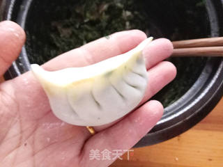 青菜猪肉煎饺的做法步骤:7