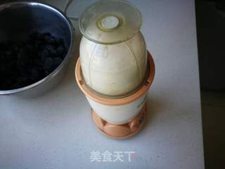 桑葚果酱的做法步骤:3