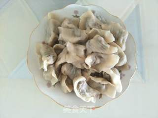 茴香饺子的做法步骤:7