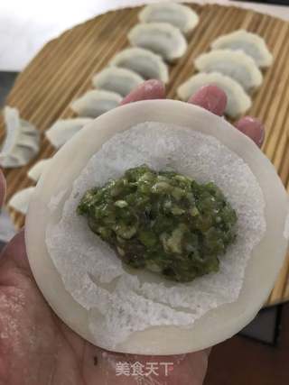 四季豆猪肉水饺的做法步骤:6