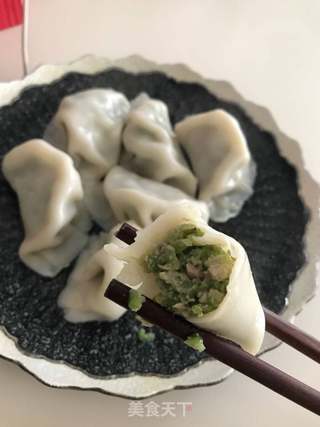 四季豆猪肉水饺的做法步骤:8