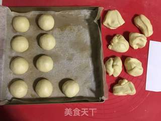 一次性发酵奶油餐包的做法步骤:5