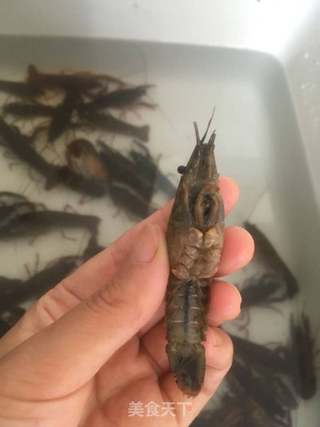 香辣小龙虾的做法步骤:4