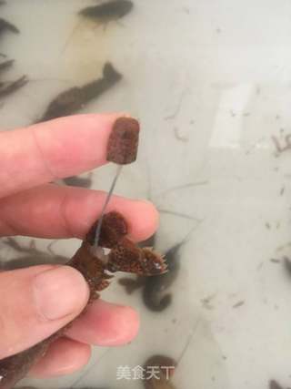 香辣小龙虾的做法步骤:5