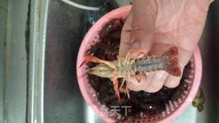 麻辣小龙虾的做法步骤:2