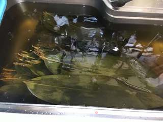 五香肉粽的做法步骤:2