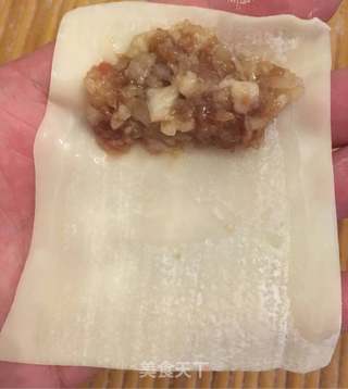 鲜肉馄饨的做法步骤:13