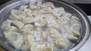 猪肉豇豆饺子的做法步骤:12