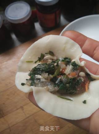 治愈孩子挑食--蒲公英基围虾饺子的做法步骤：13