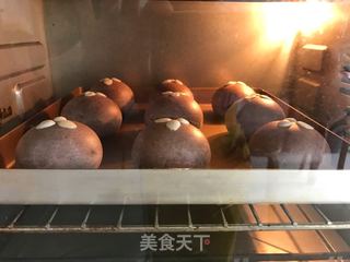 可可麻薯蜜豆包 的做法步骤:10