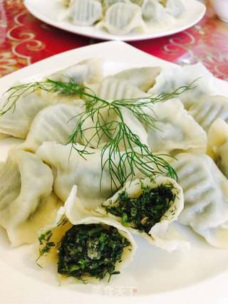 茴香饺子的做法步骤:17