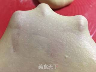 奶香吐司的做法步骤:5