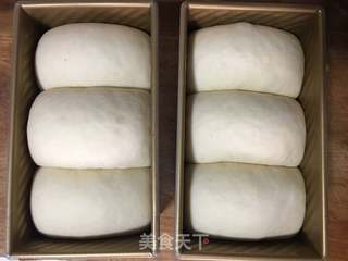 奶香吐司的做法步骤:13