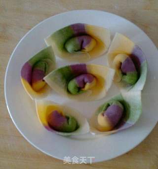 五彩馄饨的做法步骤:9