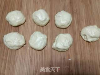 蜜豆餐包的做法步骤:5