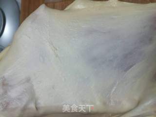蜜豆餐包的做法步骤:4