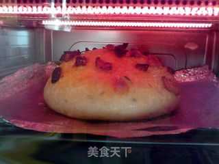 天然酵种烤洋葱乳酪面包的做法步骤:28