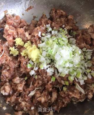 芹菜猪肉水饺的做法步骤:3