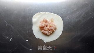 灌汤鲜肉锅贴的做法步骤:8