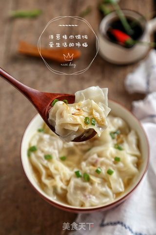 洋葱猪肉馄饨的做法步骤:10