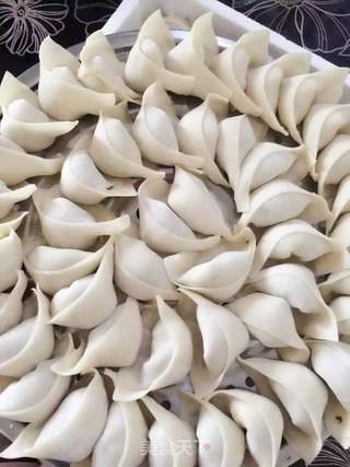 猪肉大葱饺子的做法步骤:8