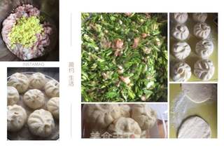 蒸包子的做法步骤:9