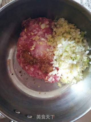 西葫芦虾仁鲜肉饺子的做法步骤:2