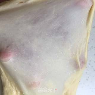 超软牛奶小餐包的做法步骤:3